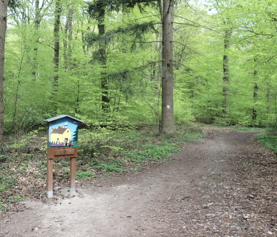 Pad, © Schote/Vulkanregion Laacher See