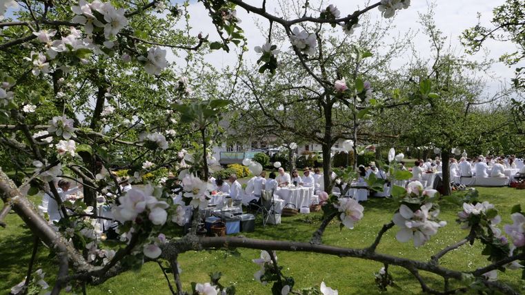 Ein blühender Obstgarten mit Tischen, an denen Menschen im Freien sitzen. Das Gras ist grün und die Blüten verleihen der Szene eine fröhliche Atmosphäre.