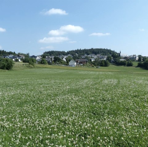 Baar