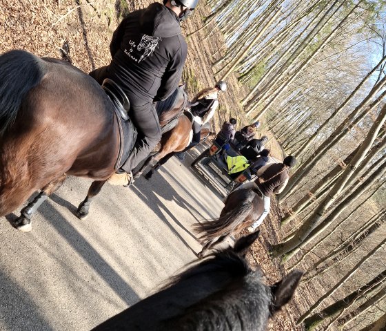 Reitausflug, © Sophie Letsch