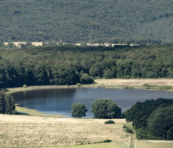 Rodder Maar, © Vulkanregion Laacher See/Kappest
