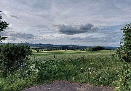 Vue du synclinal calcaire oriental de Büdesheim, © Tourist-Information Prümer Land Elke Dahm