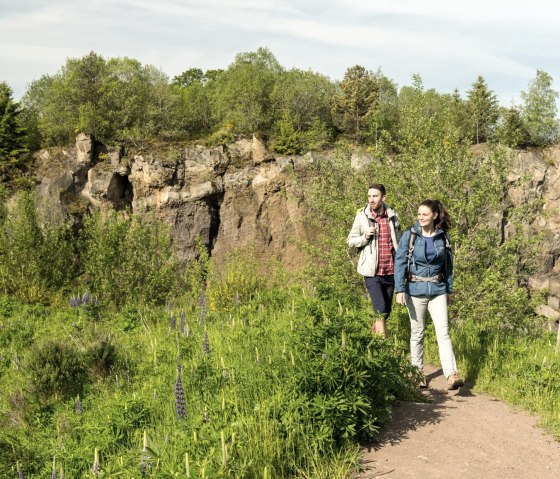 Randonnée à travers le Steffelnkopf sur le sentier des volcans, © Eifel Tourismus GmbH, D. Ketz