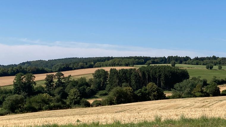 Een uitgestrekt landschap met velden en bomen. De lucht is helder en blauw.