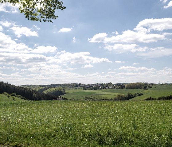 Eifelspur Münstereifelsteig - Natuurreservaat Erftaue, © Nordeifel Tourismus GmbH