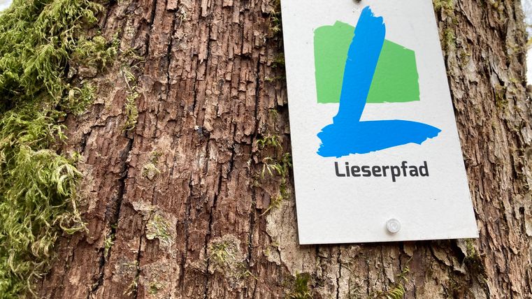 Un panneau avec le logo du Lieserpfad accroché à un tronc d'arbre.