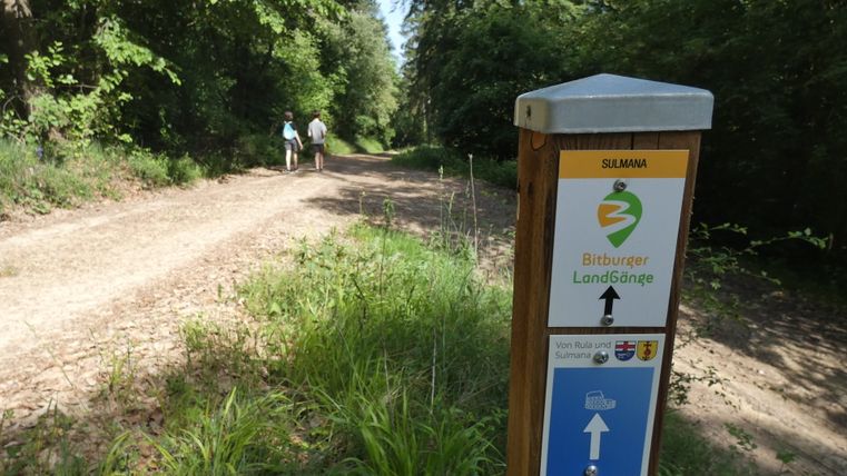 Signpost in the forest with the inscription 'Bitburger LandGänge'. Two people are walking along the path.