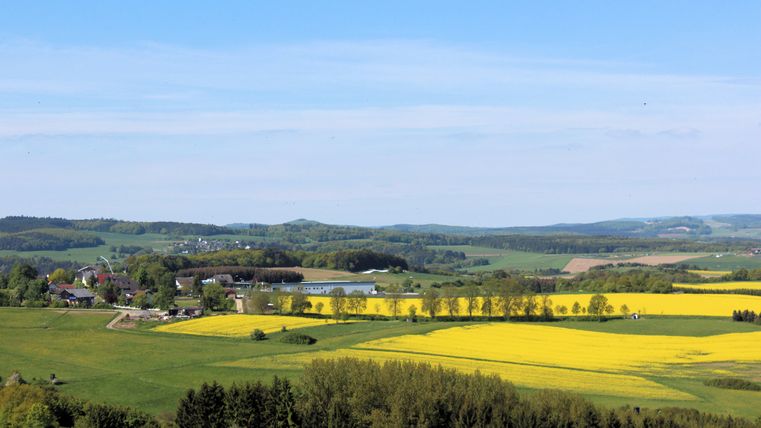 Landschap met gele koolzaadvelden, bomen en heuvels op de achtergrond.