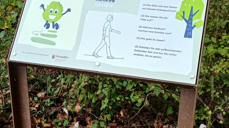 A sign in the forest provides information about the Irrel Mindfulness Trail in the Southern Eifel Nature Park. It shows a map and instructions for a walking exercise.