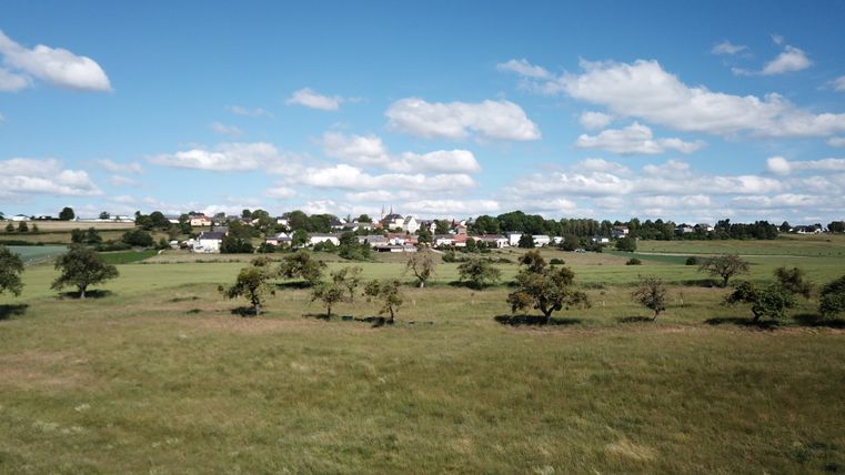 Landschaft mit grünen Feldern und einem Dorf im Hintergrund unter blauem Himmel.