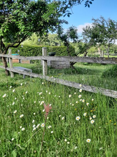 Een groene weide met veel wilde bloemen en een houten hek. Op de achtergrond zijn bomen te zien en de lucht is blauw.