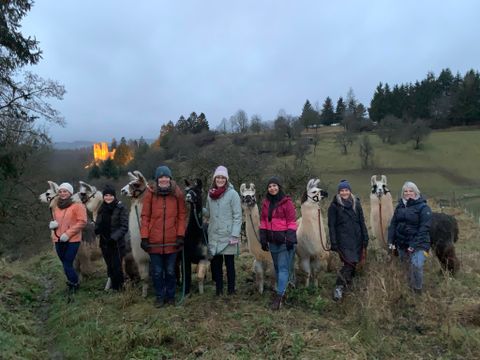 Eine Gruppe von Menschen spaziert mit Alpakas auf einer grünen Wiese. Im Hintergrund sind Bäume und Hügel zu sehen.