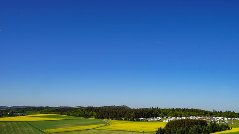 Far-reaching view over rapeseed fields with forest and blue sky