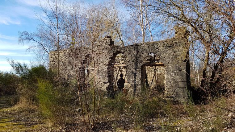 A dilapidated ruin surrounded by trees and shrubs. The sky is clear and blue.