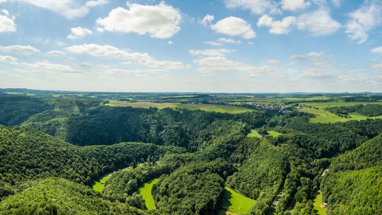Panoramablick auf die bewaldete Landschaft der Eifel mit blauem Himmel und Wolken.