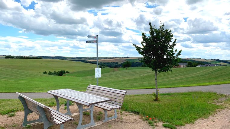 A wooden seating area next to a tree and a path, with the wide green fields behind it