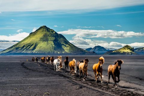 Eine beeindruckende Wüstenlandschaft mit roten Felsen und monumentalen Tafelbergen. Der klare Himmel ergänzt die rustikale Schönheit der Umgebung.
