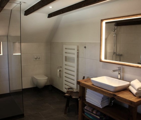 Large, modern bathroom