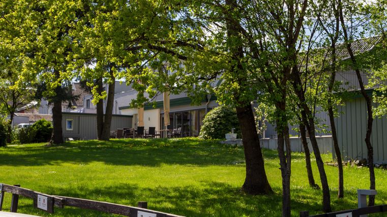 Een groene weide met grote bomen en een gebouw op de achtergrond. De scène is helder en uitnodigend, ideaal voor ontspannende momenten buiten.