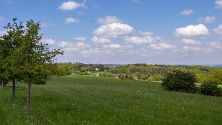 Green meadow with trees and a view of the Bad Münstereifel forest under a blue sky with clouds.