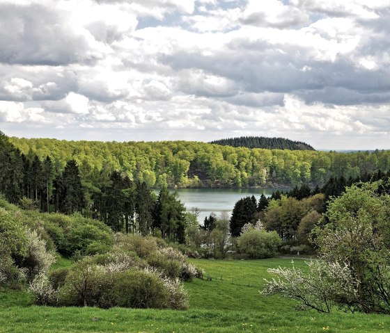 Marais de poudre4