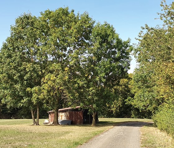 Kleine schuur onder bomen in een weiland, met een pad ernaast. Blauwe lucht en groene vegetatie., © TI Bitburger Land - Steffi Wagner