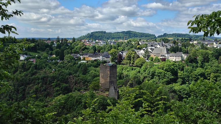 Een schilderachtig uitzicht op het groene landschap van Manderscheid met de oude toren van de Oberburg. De omgeving is omgeven door bomen en toont een rustige, landelijke scène.