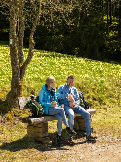 Ein Paar sitzt auf einer rustikalen Holzbank am Rand einer sonnigen Narzissenwiese und macht eine Pause im Grünen; im Hintergrund leuchten gelbe Blüten zwischen Bäumen und Wald.