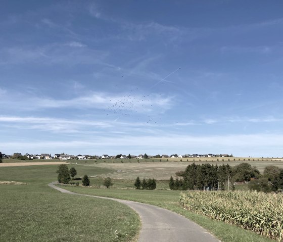 Landschaft Lutzerath-Driesch, © GesundLand Vulkaneifel