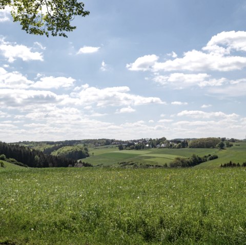 Eifelspur Münstereifelsteig - Erftaue nature reserve, © Nordeifel Tourismus GmbH