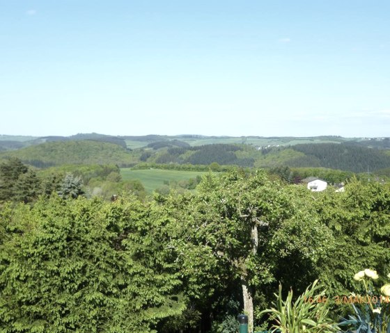 View from the terrace