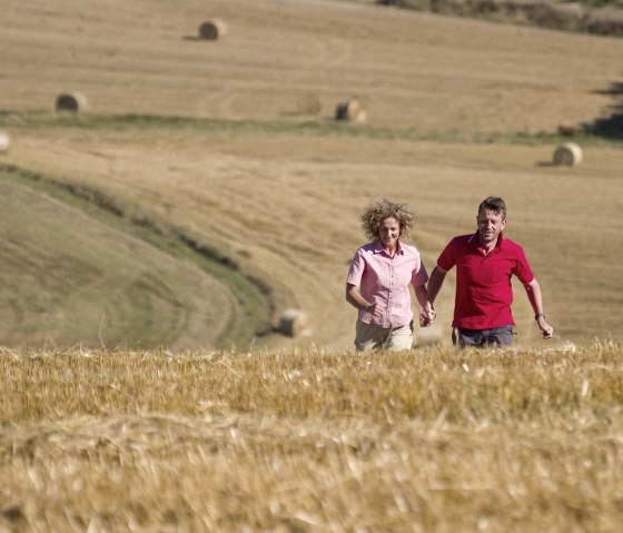 The fields near Wanderath, © Traumpfade/Kappest
