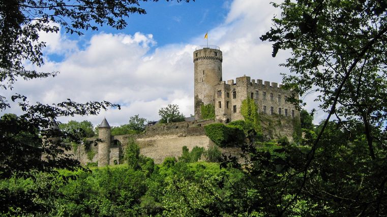 Die Burg Pyrmont auf einem bewaldeten Hügel mit rundem Bergfried und Steinmauern vor klarem Himmel.