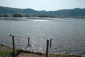 Ein ruhiger See mit glitzerndem Wasser und sanften Hügeln im Hintergrund. Die Szenerie vermittelt eine friedliche Atmosphäre.