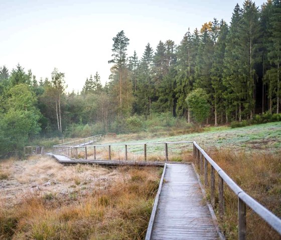 EifelSchleife veenpad, loopbrug door het veen, © Nordeifel Tourismus GmbH, Paul Meixner