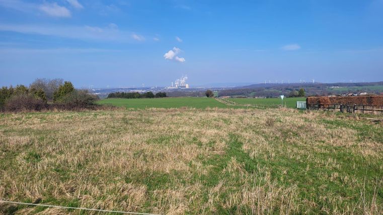 Een uitgestrekt veld met hoog gras en hier en daar een boom. Op de achtergrond zijn industriële installaties en een blauwe lucht te zien.