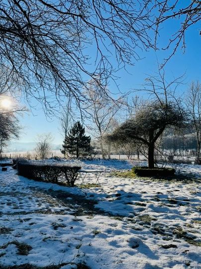 A winter landscape with snow and bare trees. The sun shines in the blue sky and casts a warm glow over the scene.
