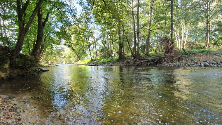 Une rivière calme traverse une zone boisée avec des arbres sur les rives.