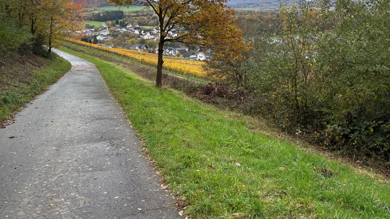 Een wandelpad leidt door een herfstlandschap. Kleurige bomen omringen het pad, dat naar een klein dorp in de verte leidt.