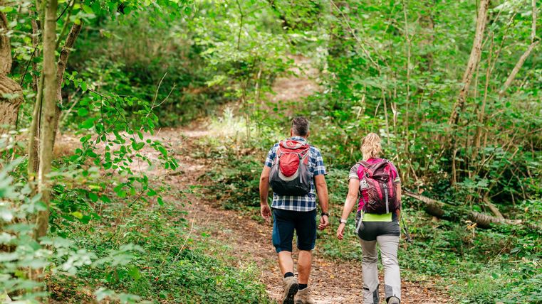Twee mensen wandelen in het bos