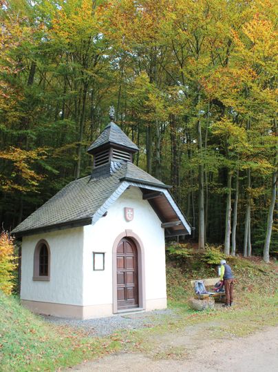 Een kleine kapel in het bos met herfstbomen op de achtergrond. Een persoon staat naast een bankje voor de kapel.