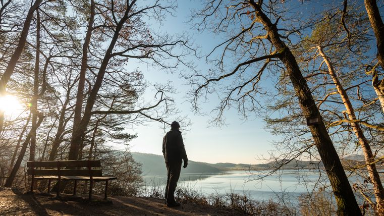 Person steht auf einem Waldweg mit Blick auf einen See, umgeben von Bäumen, bei Sonnenuntergang.