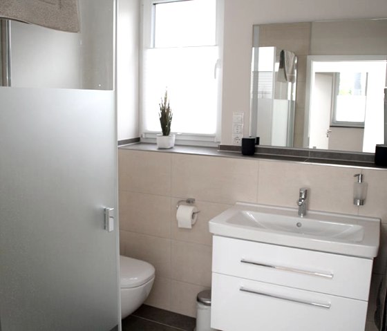 Pellenzblick ground floor bathroom