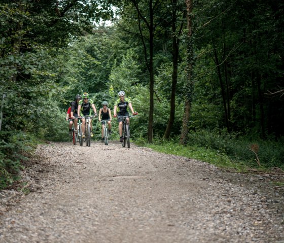 Faire du VTT dans la Rureifel, © some.oner
