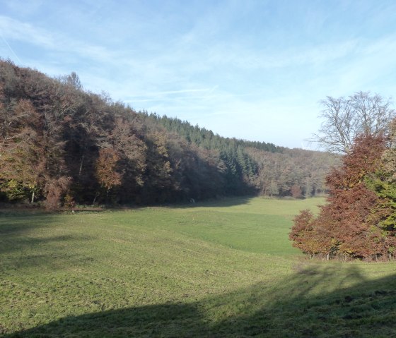 Sentier de randonnée n° 87 près de Manderscheid, © Tourist-Information Islek