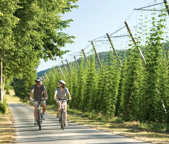 Prüm cycle path, © Rheinland Pfalz Tourismus GmbH / Dominik Ketz
