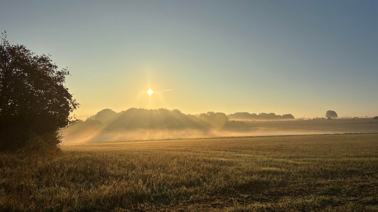 A quiet morning with the rising sun over a foggy field. The landscape is surrounded by gentle hills and trees.