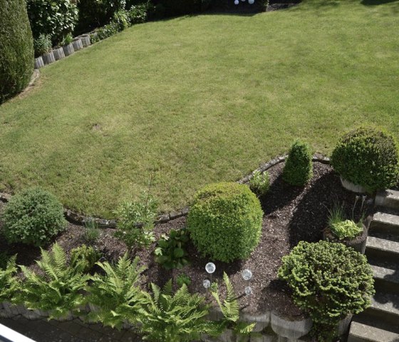 Garden 1