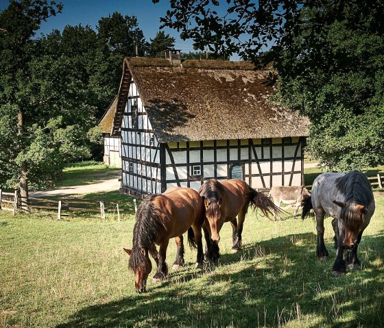 Kommern, © Nordeifel Tourismus GmbH & Landhaus Bachglück