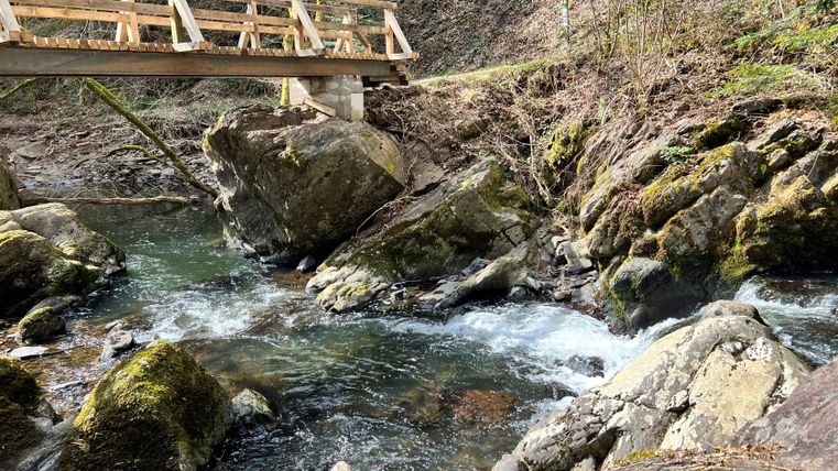 Wooden bridge over a stream with rocks and moss.